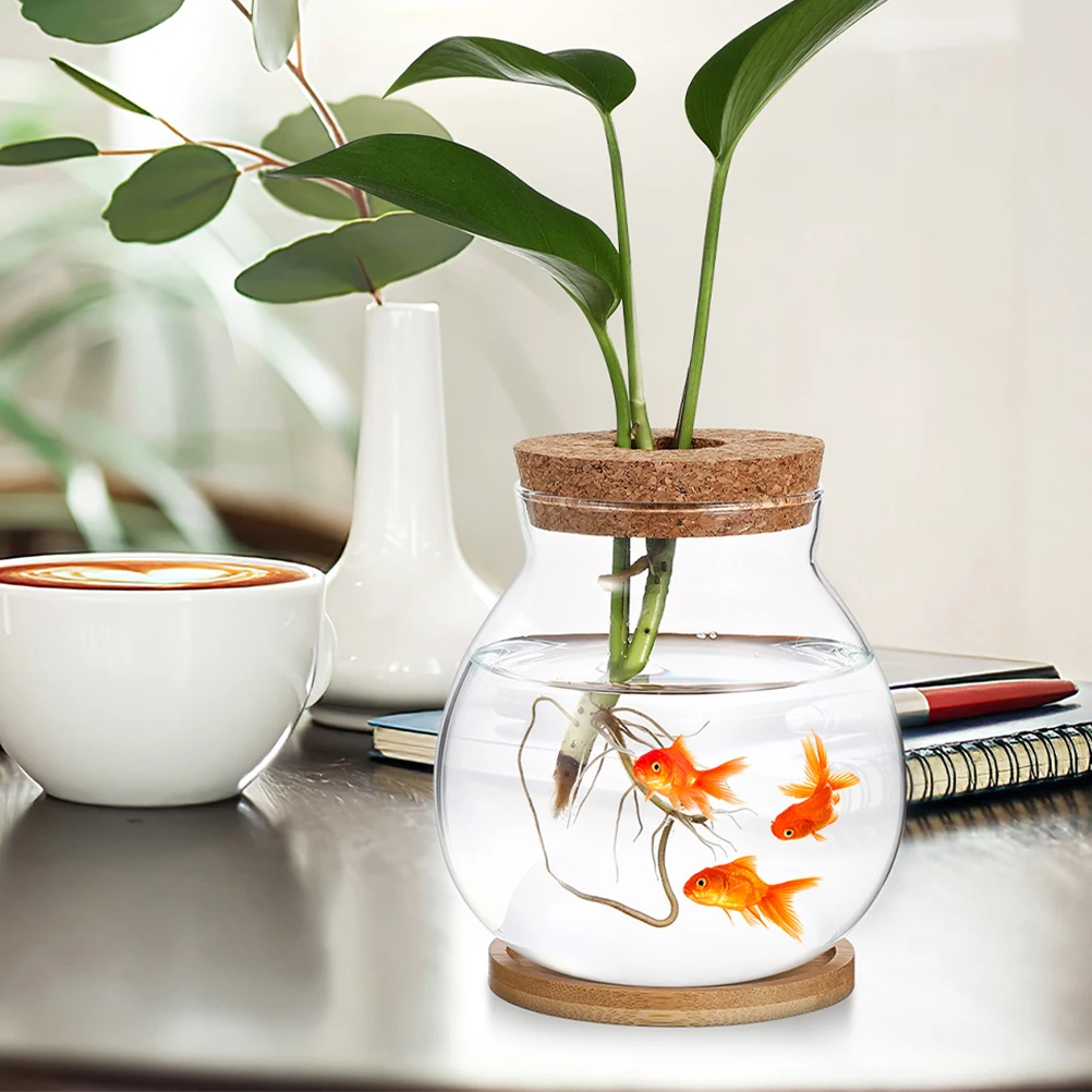 

Hydroponic Glass Vase Transparent Flower Container Desktop Plant Terrarium Easy Clean Minimalist Style Home Decor