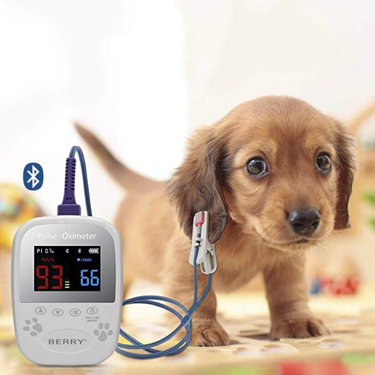 Medical Portable Animal Pet Oximeter YSPO110V Veterinary Clinic Veterinary Pulse Oximeter