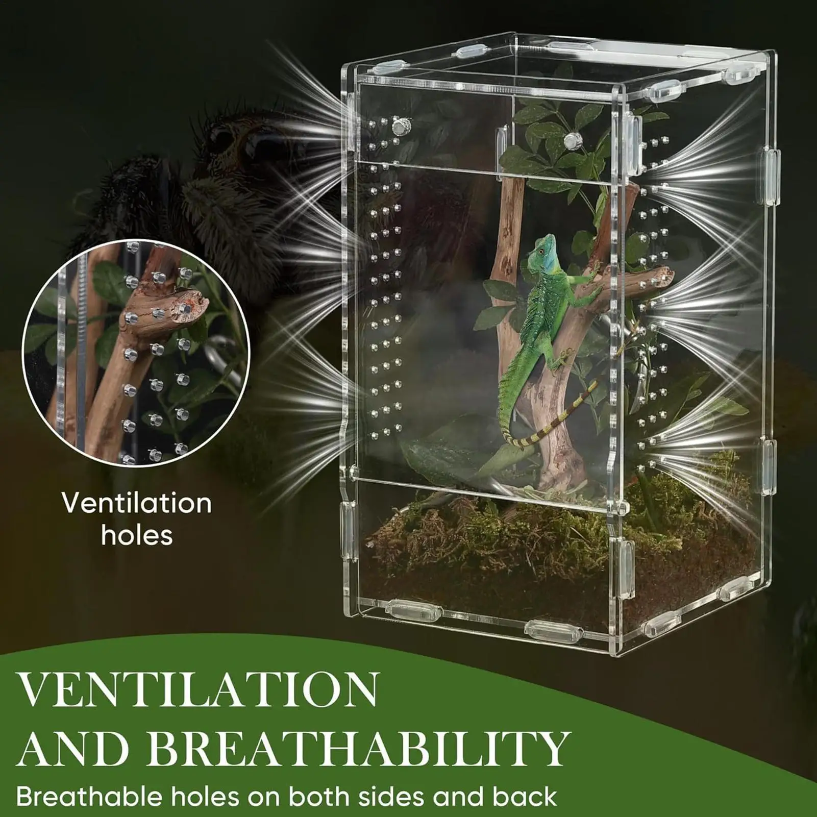 Acrylic Jumping Spider Enclosure Escape Proof Reptile Feeding Tank Ventilated Transparent Reptile Habitat Front Opening - view 3