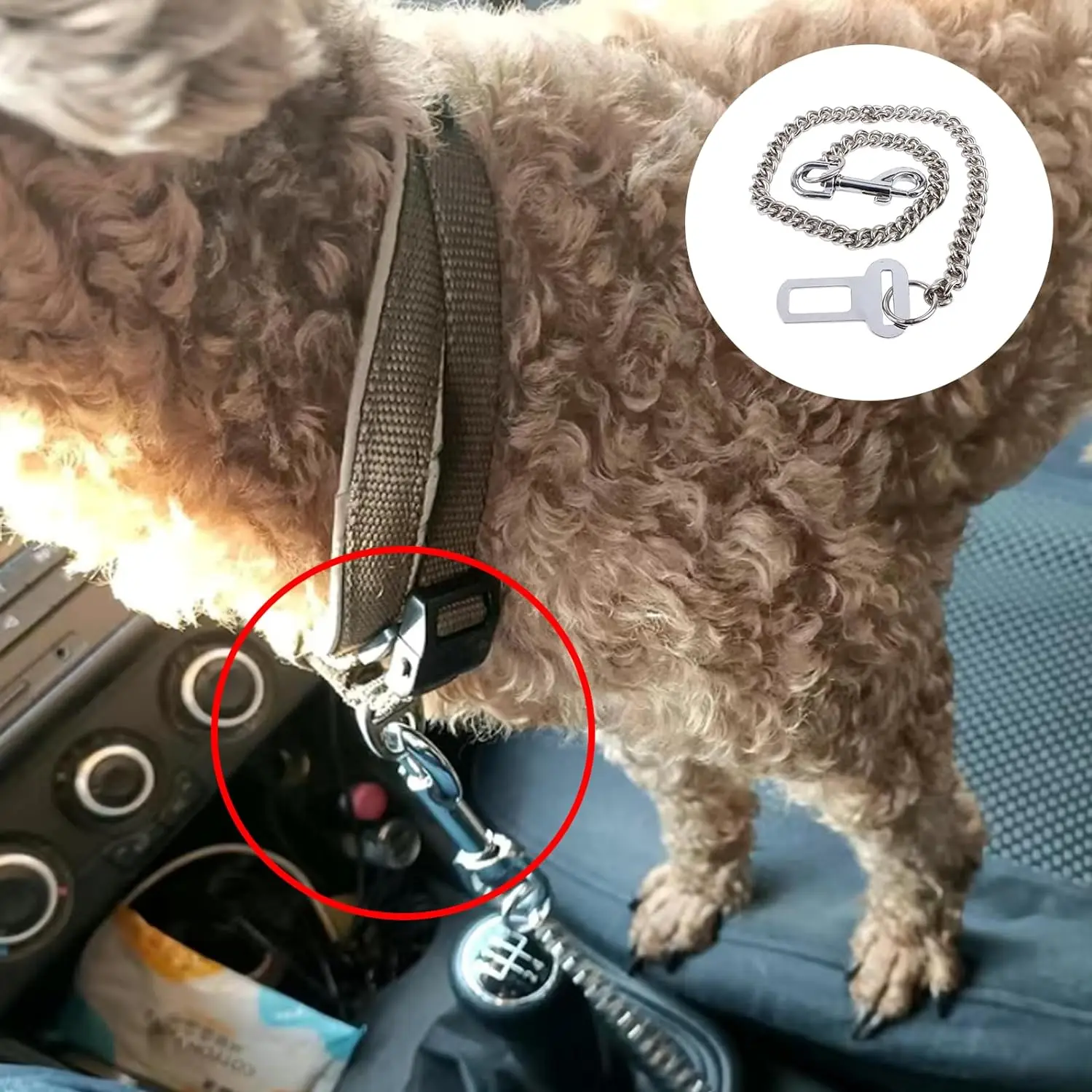Thumbnail 2 - #38 Top 40 Dog Seat Belts Worth Buying In 2026