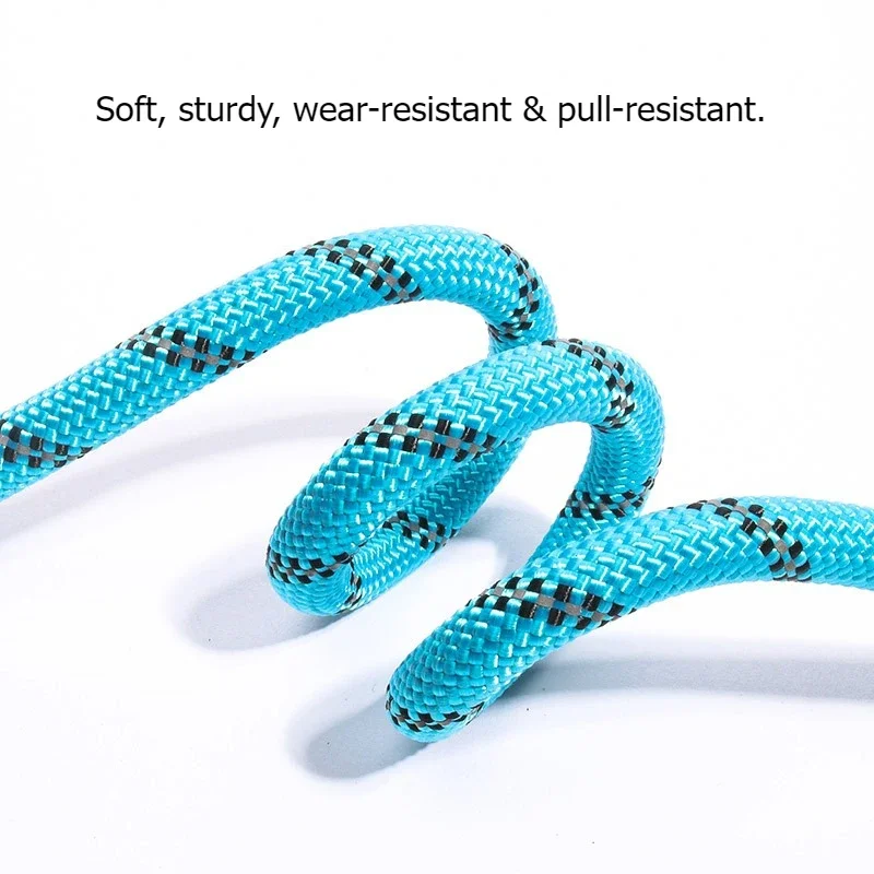 Reflective Anti-Pull Dog P Leash Integrated Training Rope Competition Lead for Dog Walking
