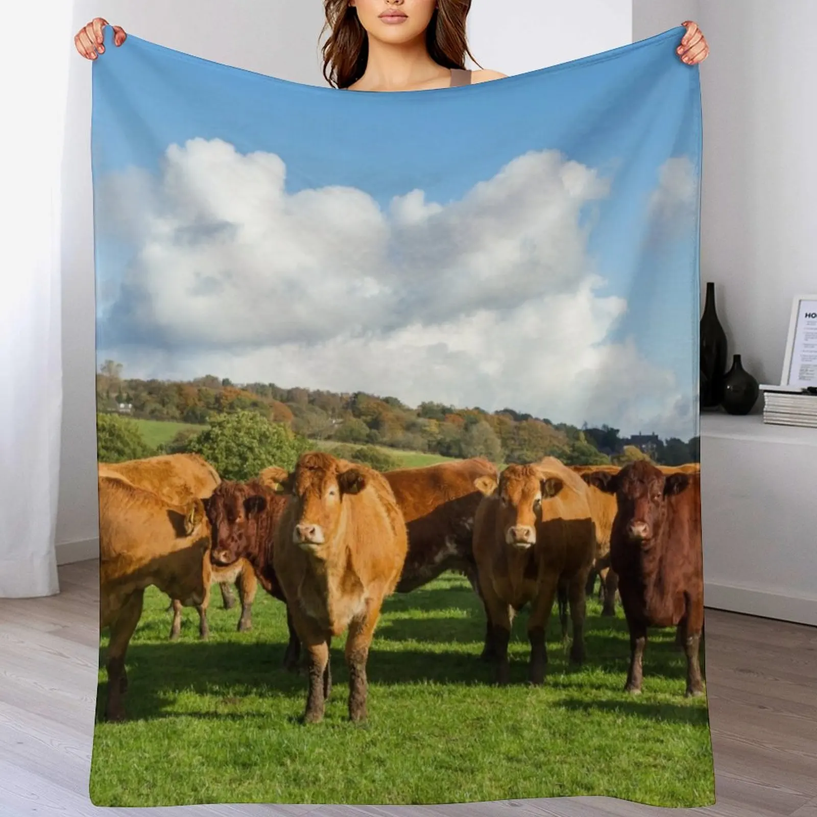 

Limousin Cows Throw Blanket Bed Sofa Quilt Furry Blankets