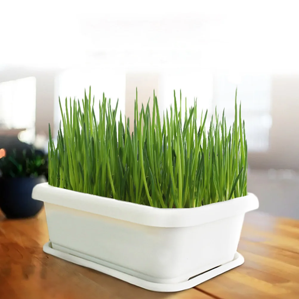 

1Pcs Vegetable Planter Plastic Growing Container Sturdy Garden Plant Pot for Indoor Outdoor Vegetables Flowers with Airflow