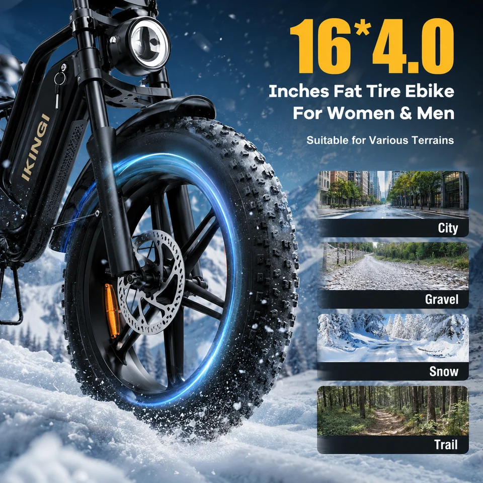 1000W Peak Motor Electric Bike 48V15Ah Removable Battery 16*4.0 Fat Tire E-bike 25MPH Max Speed Dual Suspension 7 Speed Retro Ebike for Adults image 6