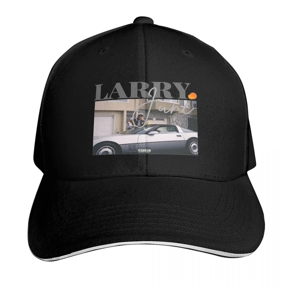LARRY JUNE Baseball Cap Moisture Wicking Quick Dry Curved Brim Classic Fit Low Profile Unstructured