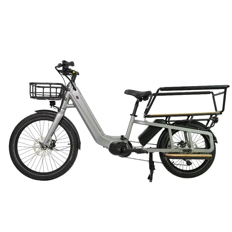 Powerful Cargo Bikes Electric Bikes Family Delivery Bikes