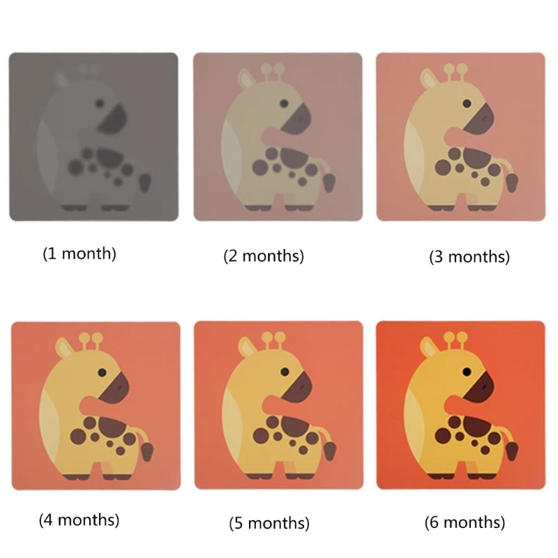 Carte pour bébé à contraste élevé, carte Stimulation visuelle pour bébé, développement sensoriel, livraison directe