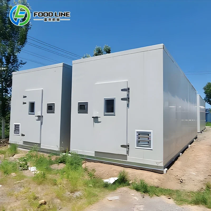 Customized Large Commercial Mushroom Farm Automated Hydroponic Growing Container with Advanced Control Systems
