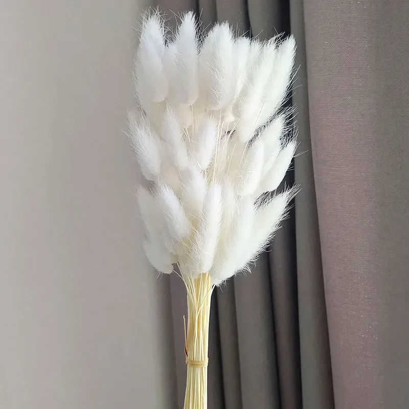 Variant: White