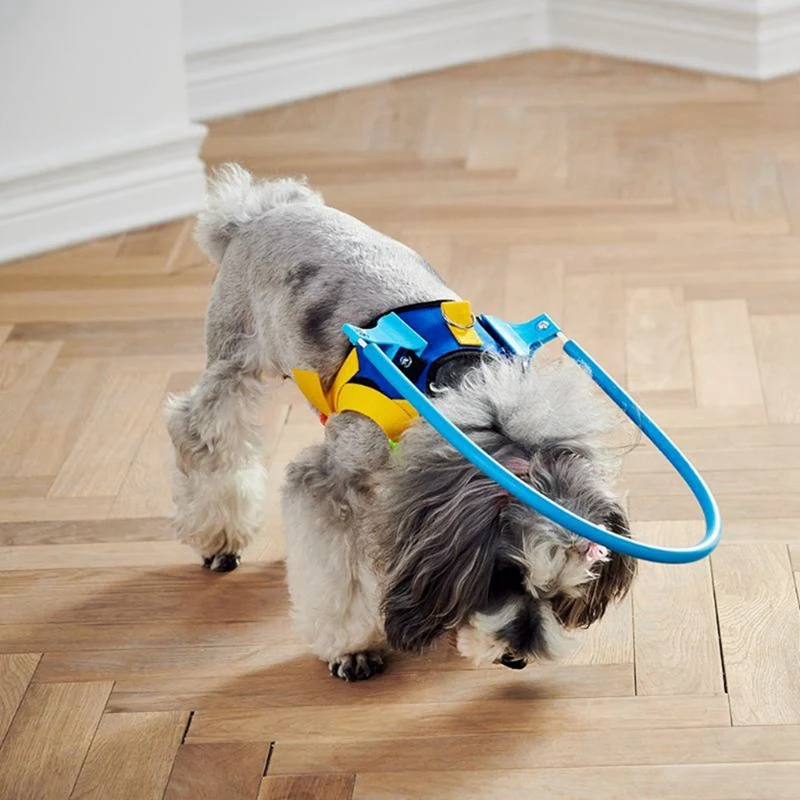 Dispositif de guidage de harnais circulaire Anti-Collision réglable pour chien aveugle