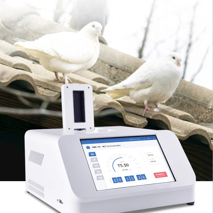 Real-time Detection of Pigeon Gender Detection Instrument Simple and Portable Racing Pigeon Introduction and Breeding