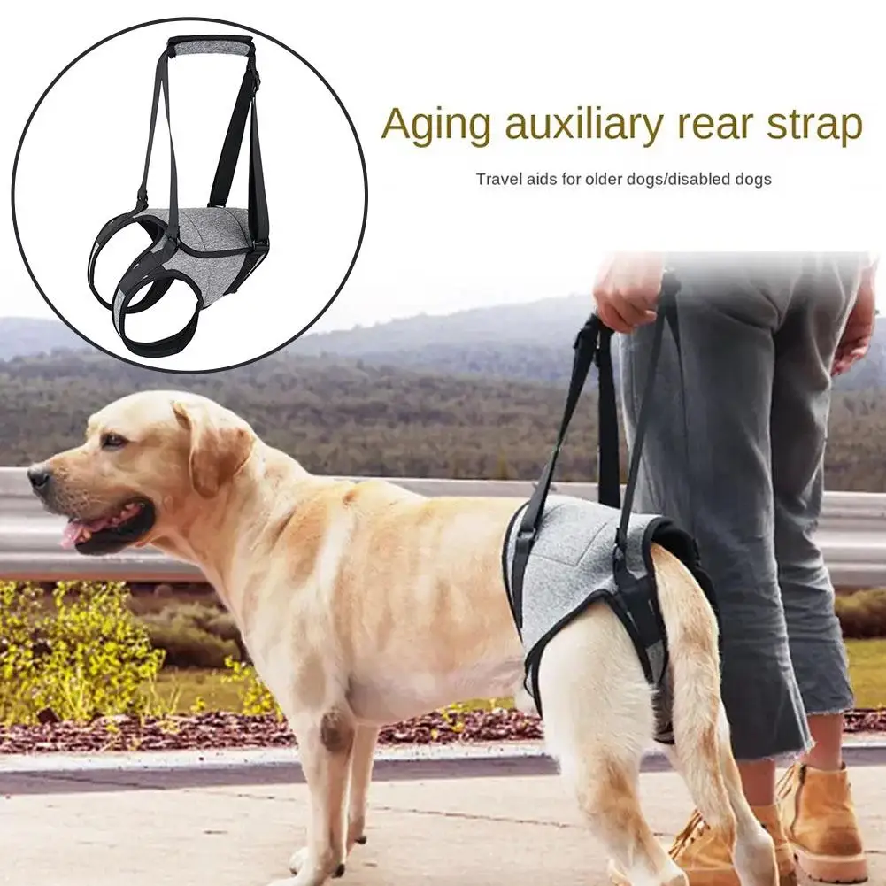 

Injured Dog Hind Leg Auxiliary Strap Elderly Injured Supplies Traction Belt Comfortable Belt Pet Rehabilitation Dog Auxilia U4H4