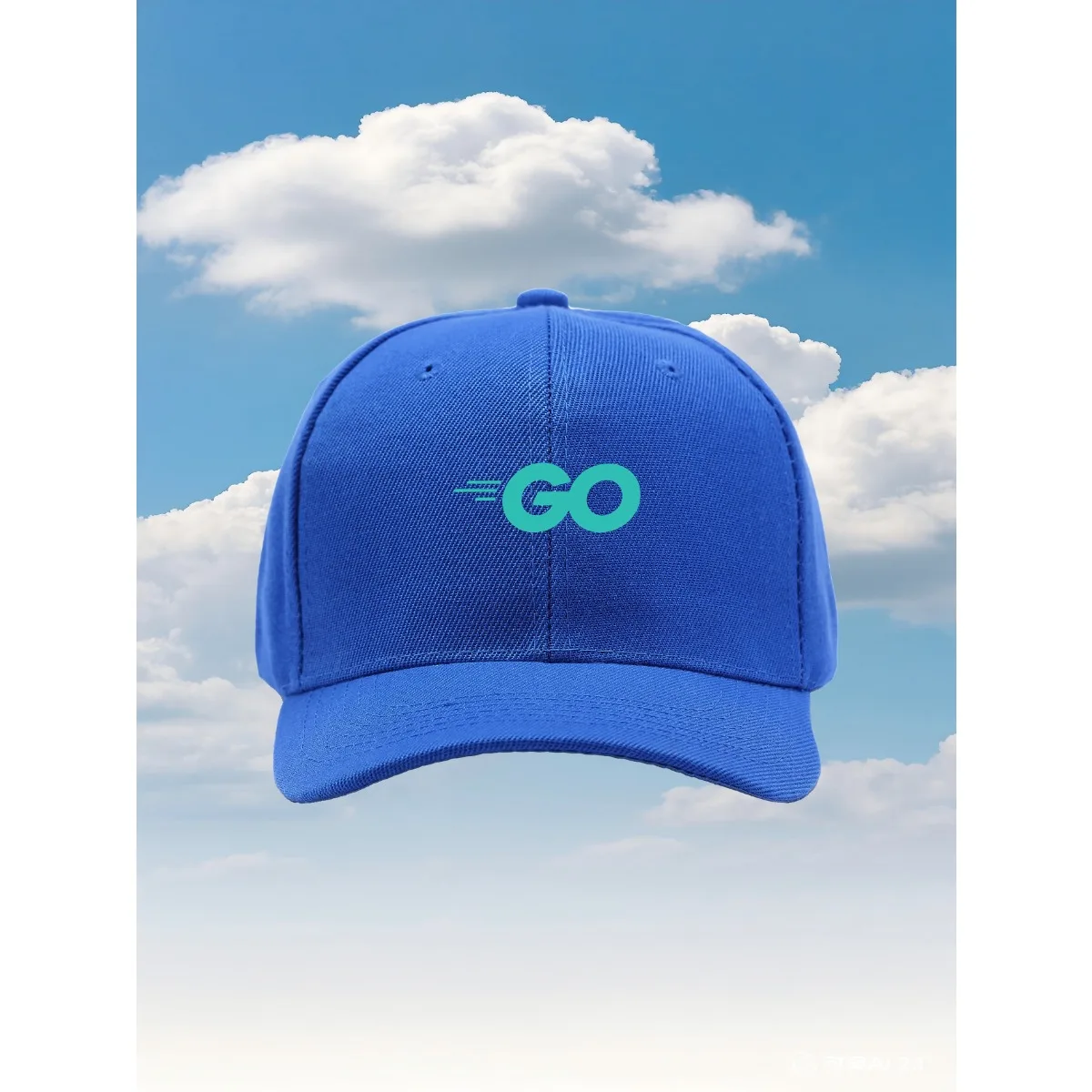 Go Language Programming2025 نموذج جديد قبعة سائق الشاحنة مع مقاس قابل للتعديل وتصميم مطبوع ممتع، مثالي للأنشطة الخارجية #2