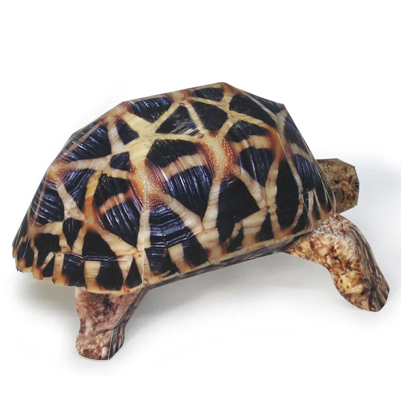 Estrella india tortuga modelo de papel Animal realista Mini Origami arte lindo 3D Papercraft DIY niños adultos juguetes artesanales hechos a mano WE-053