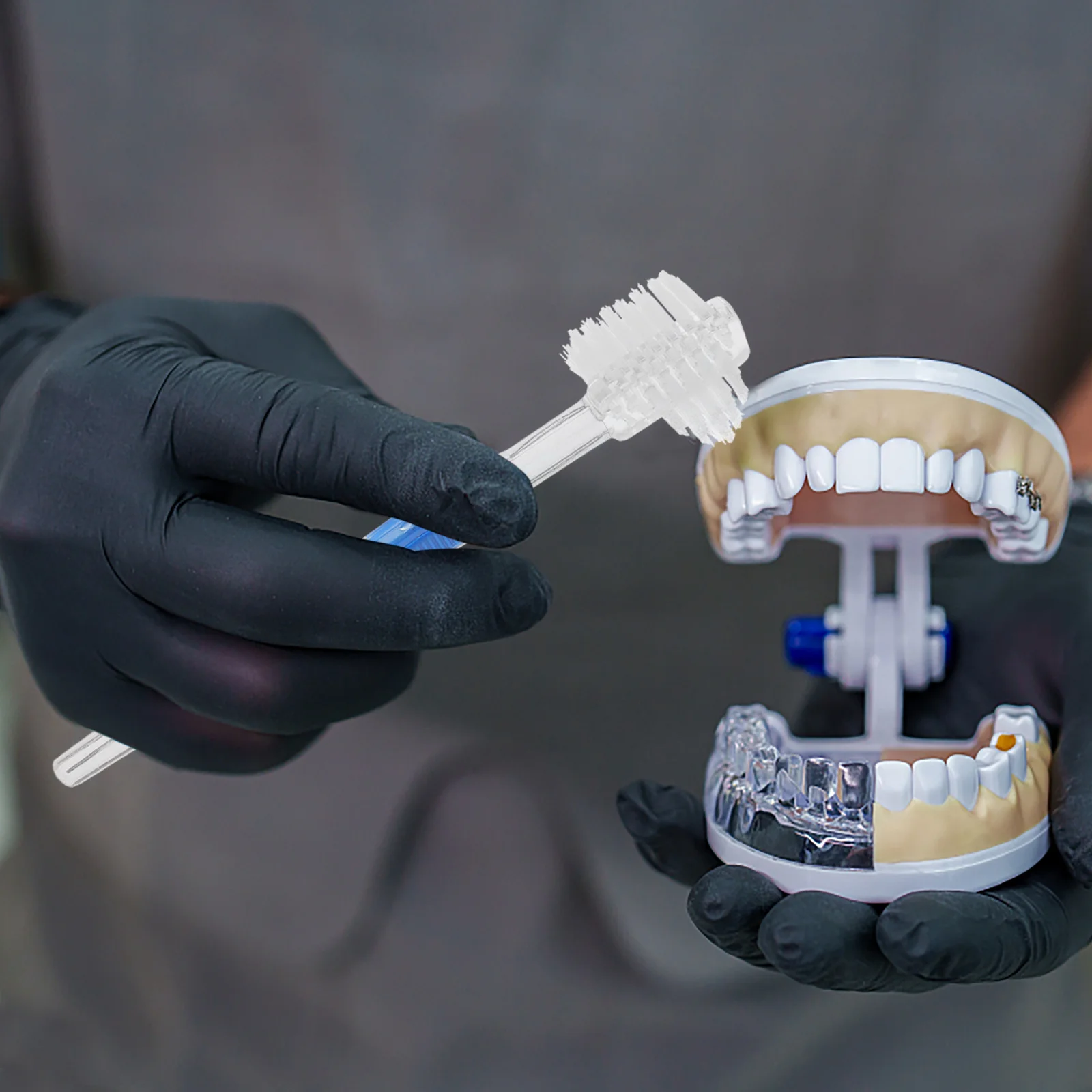 3 قطعة فرشاة أسنان على الوجهين أداة تنظيف الأسنان الكاذبة متعددة معنقدة رئيس زاوية المشذبة شعيرات شركة النايلون عدم الانزلاق مقبض #6