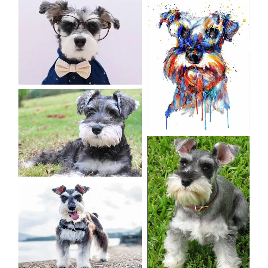 5D DIY Diamond Painting Schnauzer Dog Needlework Cross Stitch Full Drill Diamond Mosaic Embroidery Animal Home Decor Gift