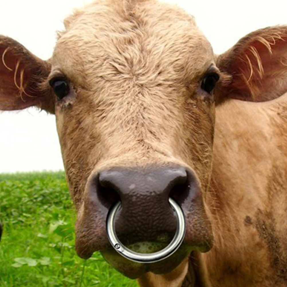 

2pcs Stainless Steel Cattle Nose Ring Accessory Durable Farm Tools for Efficient Cattle Management