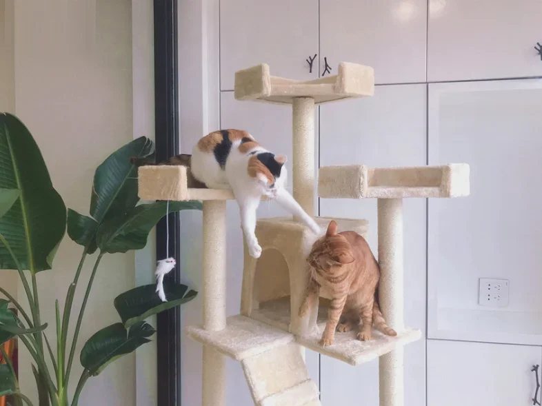 Sturdy Sisal Cat Tree Cat Condos Padded Platform Climbing Tree for Cats