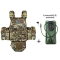 CP-2L Green