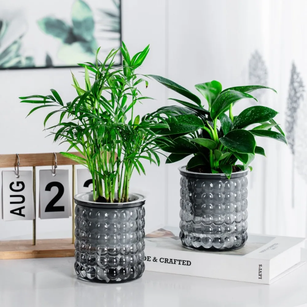 New Self Watering Hydroponic Plants Pot Plastic Removable Flowerpot Office Bonsai Decor