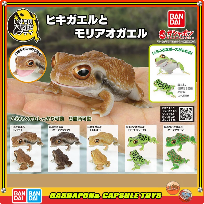 

Bandai Biological Encyclopedia Action Figures Model Simulation Toad Frog Tree Frog Gashapon Collect Ornaments Official Genuine