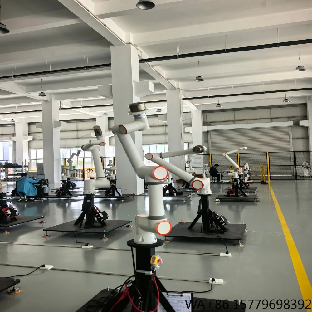 Palletizing Robot Arm 6 Axis Industrial Cobot Robotic Manipulator for Food Packaging Logistics Stamping Factory Auto
