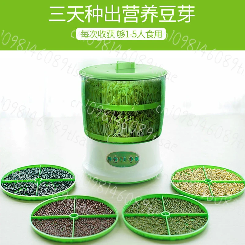 

Автоматическая машина для изготовления ростков фасоли, ростковщик большой емкости для соевых бобов/мжунг-бобов, специальное предложение