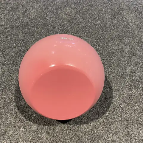 DUTRIEUX8KG Competition Steel Kettlebell for New Fitness Trainers