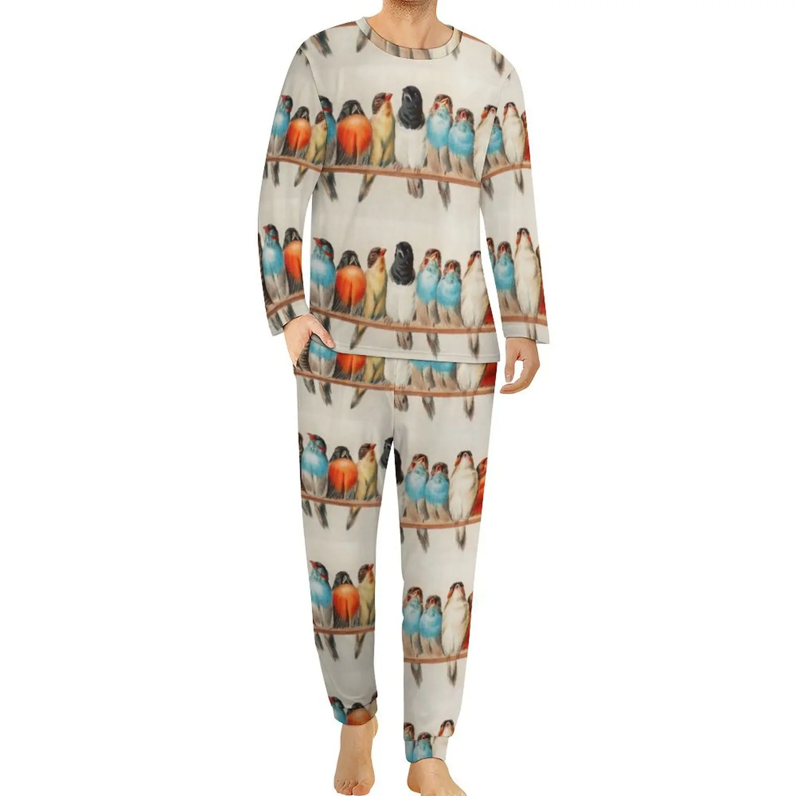 Colorful Birds Print Pajamas Spring 2 Pieces Vintage Animal Cute Pajamas Set Man Long-Sleeve Casual Graphic Home Suit Big Size