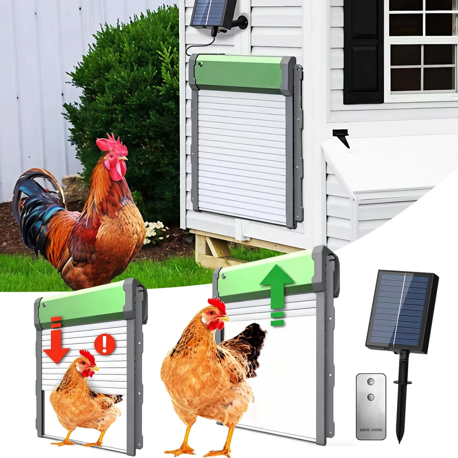 Porte automatique pour poulailler à énergie solaire avec minuterie, télécommande et capteur de lumière pour la sécurité des volailles