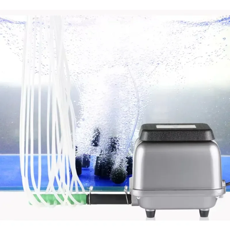 Pond Andsewage Trea… - image