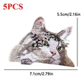 PE1686CT
