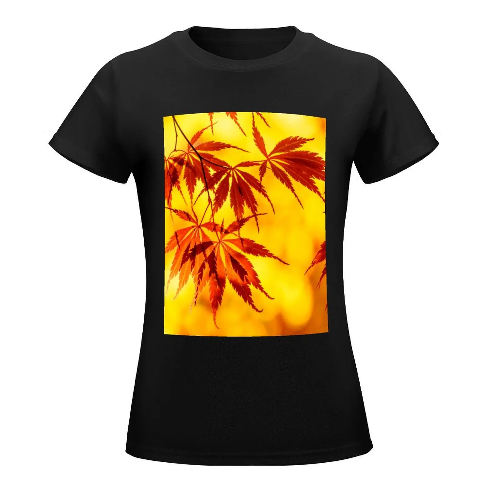 Japanese maple set T-Shirt vintage clothes funnys Woman T-shirts