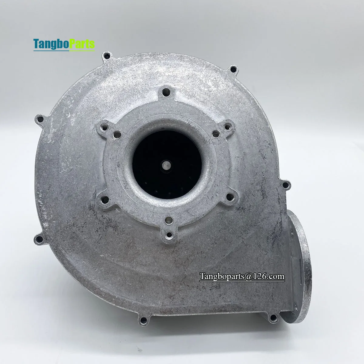 أجزاء موقد الموقد المتوافقة مع RG-148 230V FL 148029 D-01D موقد 200 واط مروحة نفخ الغاز مع محافظ