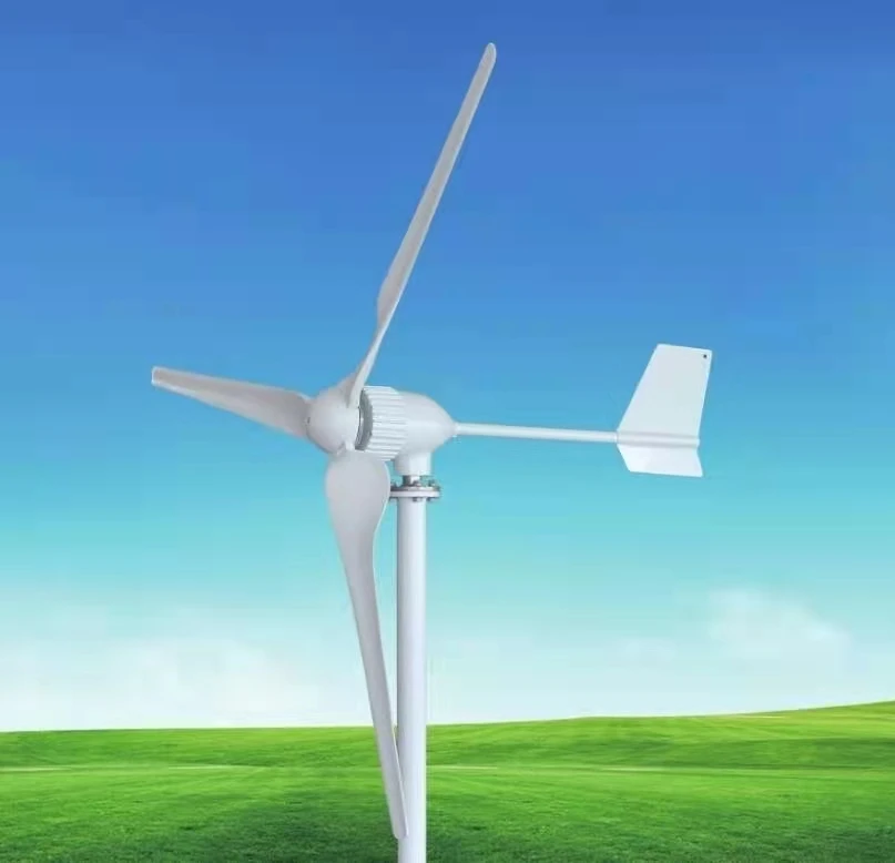 

800W1000W small wind turbine wind-solar complementary system DC 24V48V to 220V household outdoor