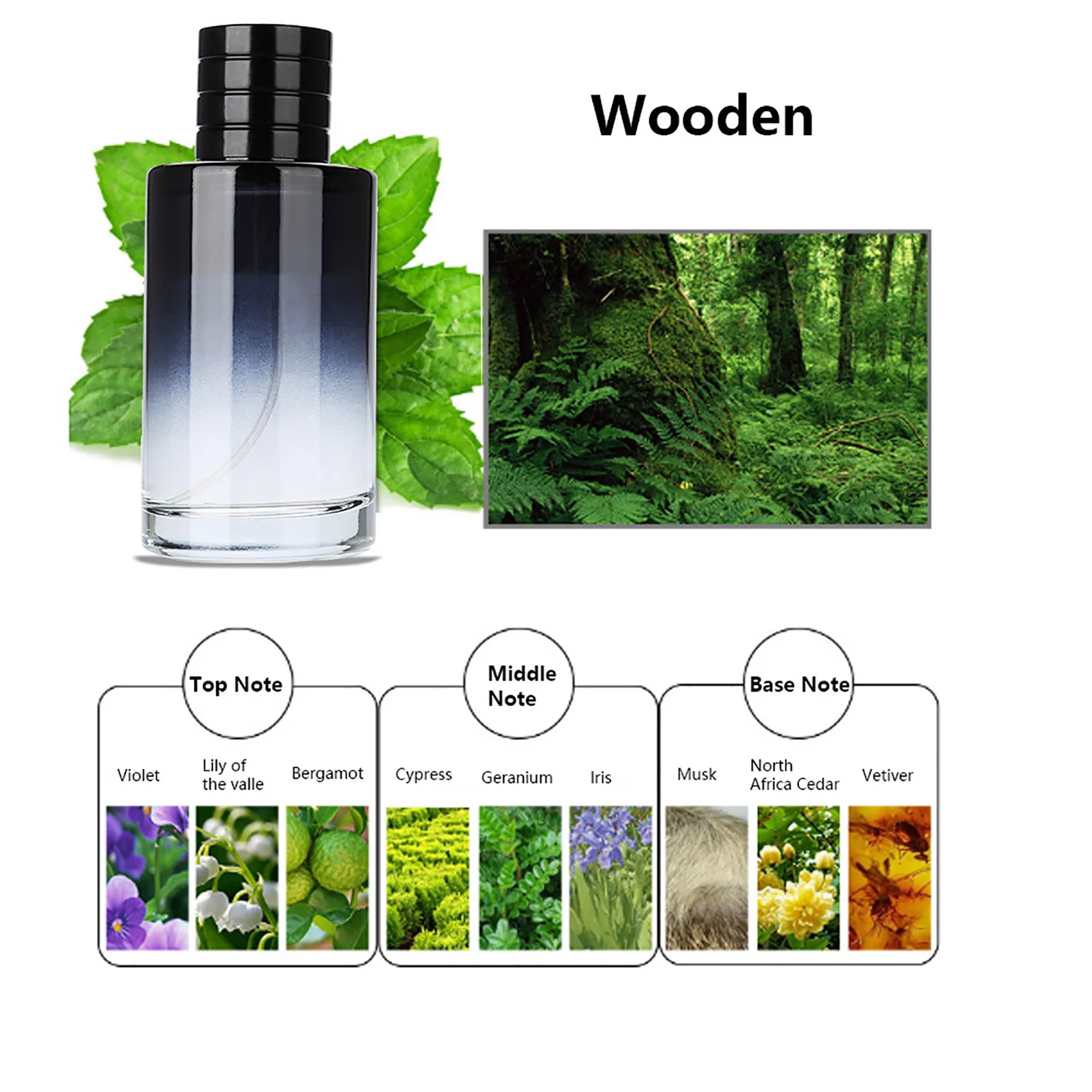 Fragrance Parfum Sprayer Wild Musk Wood Fragrance Perfume 3.4oz 100ml Spray  Cologne Perfume for Men Wood Fragrance Perfume