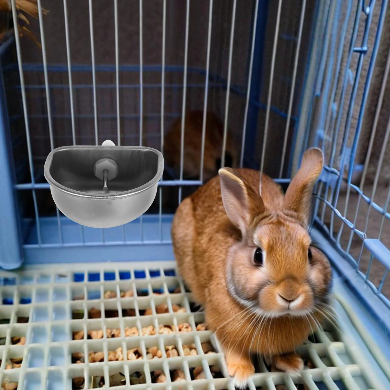 

Rabbit Automatic Drinking Water Bowl Stainless Steel Pet Feeder Small Animal Accessories Durable Reliable Easy Clean