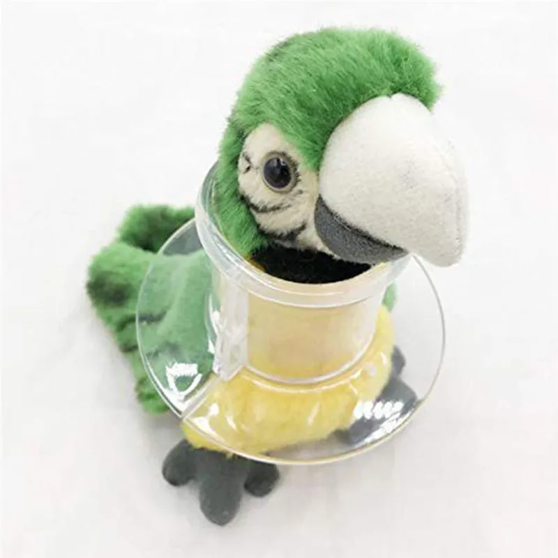 Colar acrílico do tubo do pássaro para o papagaio severo, pena que arranca, movimento do pescoço, cinza africano, cacatua da arara