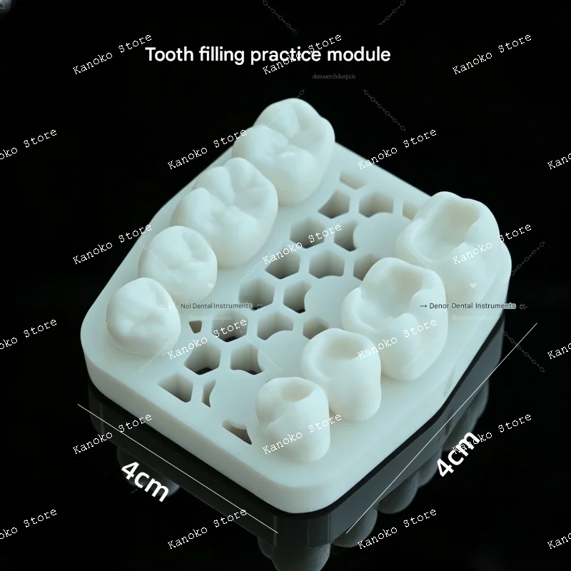 

dental resin filling practice model, tooth morphology, plastic filling practice model, anterior and posterior tooth models