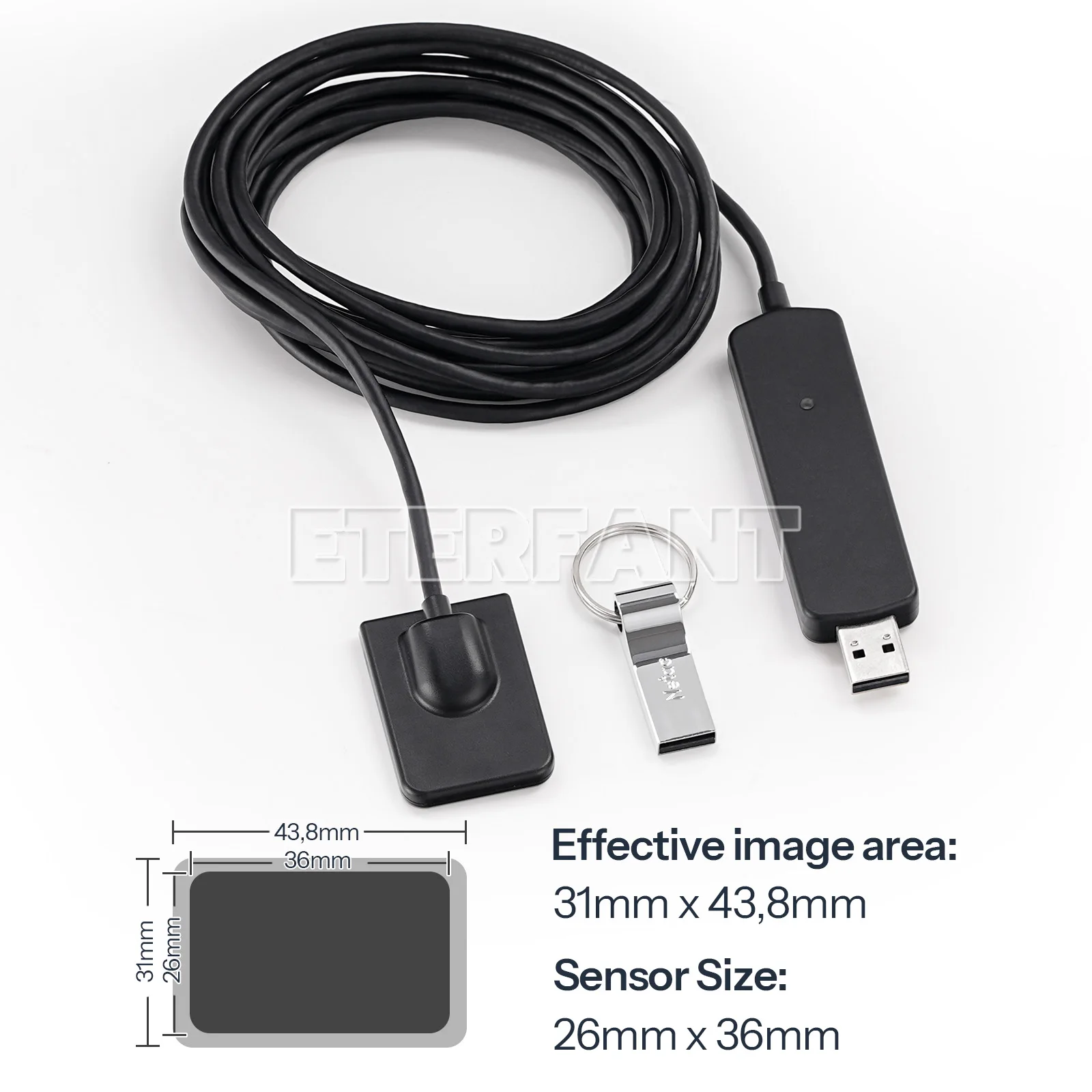 ENTERFANT Woodpecker Dental Xray Sensor Xray Imaging System Intraoral RVG Digital X-Ray Sensor Size 2