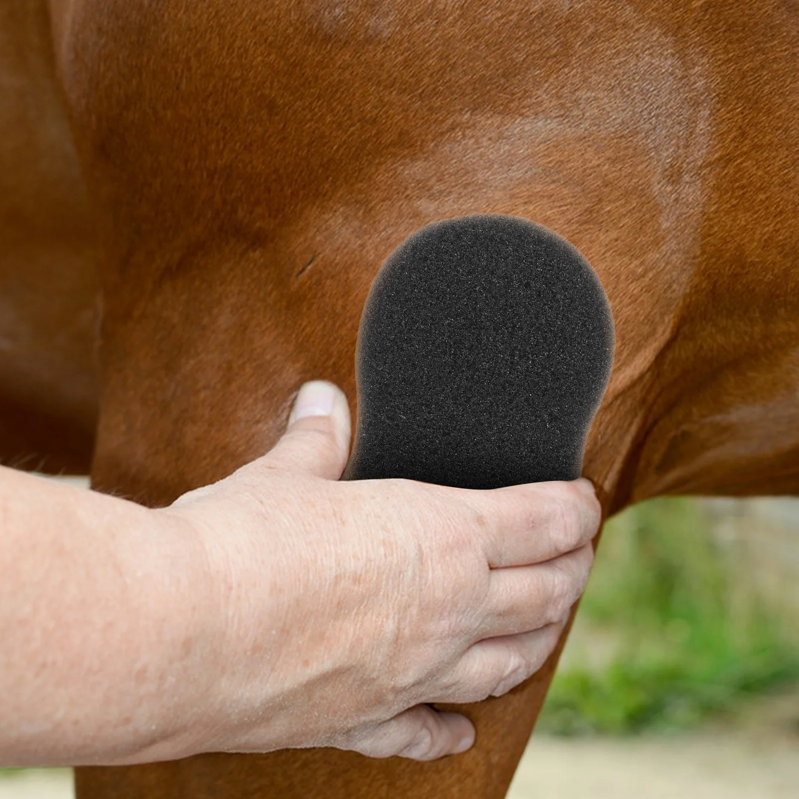 5 قطع من إسفنجات تنظيف الحصان، إسفنجة حمام ناعمة ماصة لمجموعة أدوات العناية بالحصان، سهلة التنظيف بعد إزالة العرق أثناء الركوب