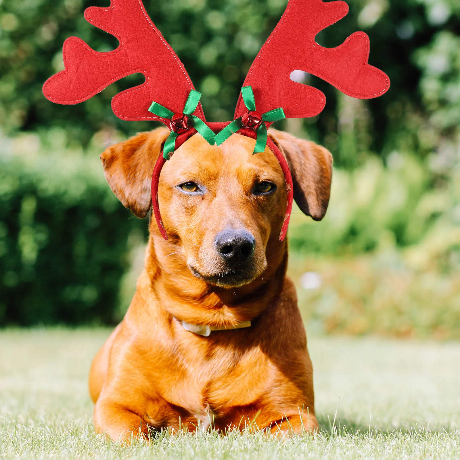 

3Pcs Dog Christmas Costume Pet Headdress Red Durable Comfortable Festive Style Accessories Reindeer Antler Headb s