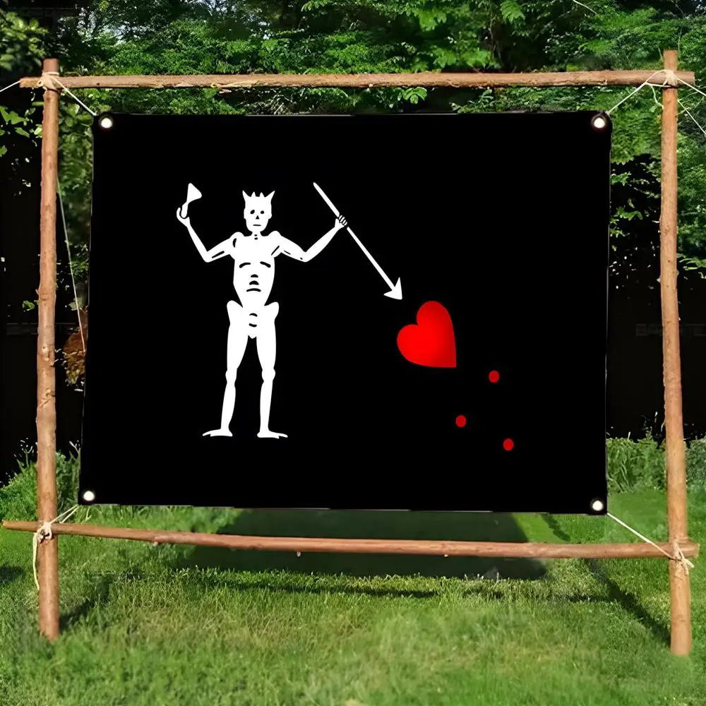 Edward Low jolly roger Flags Daily four ring borderless design indoor outdoor decor easy hang install