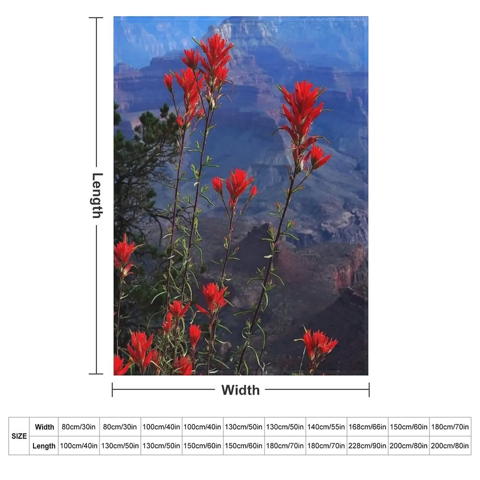 Desert Paintbrush Wildflowers Grand Canyon Arizona Throw Blanket Polar Soft Plush Plaid Cute Warm Blankets