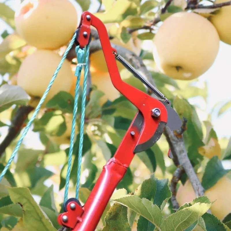 1PC Hochhöhe Verlängerung Astschere Zweig Schere Ausziehbare Obst Baum Astsäge Cutter Garten Trimmer Werkzeug Mit Seil – Detail 4