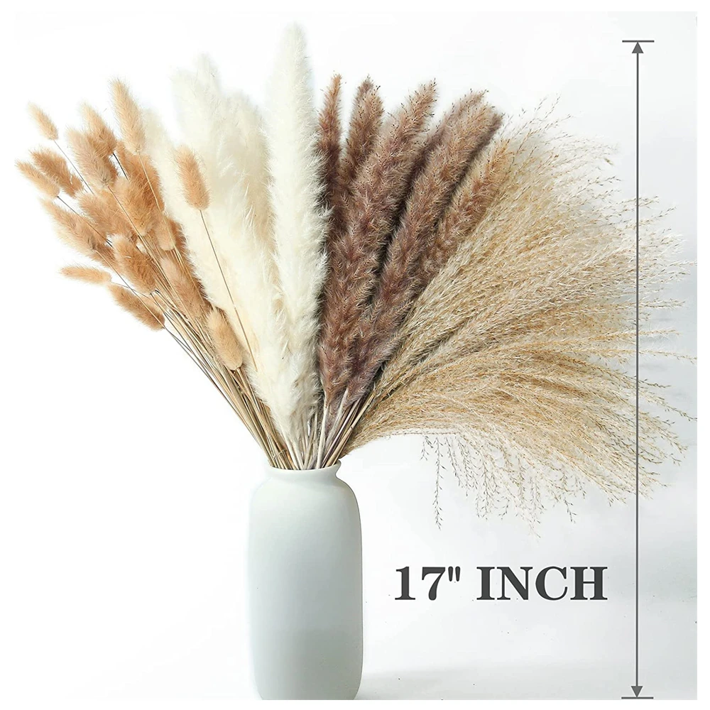 

100pcs Real Natural Dried Flower Bouquet Pampas Reed Small Reed Rabbit Tail Grass Home Decor Mix and Match Dried Flower Bouquet