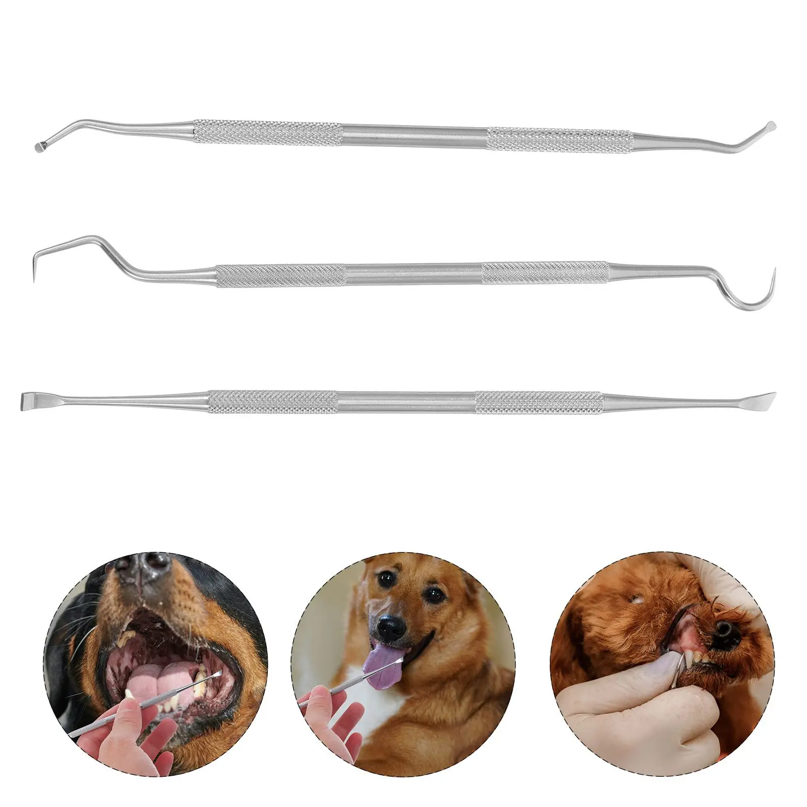 

1 Set Pet Tooth Stains Removal Tool Dog Tartar Removal Tool Stainless steel Teeth Cleaning Tool Pet Teeth Dog Cleaning Tool ﻿