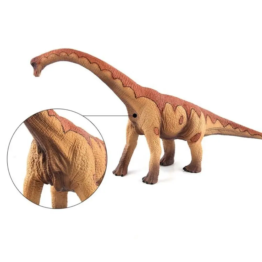 Modelo de dinossauro herbívoro simulado apatossauro dinossauro figuras de ação educacional decoração para casa dinossauro jurássico presentes de aniversário