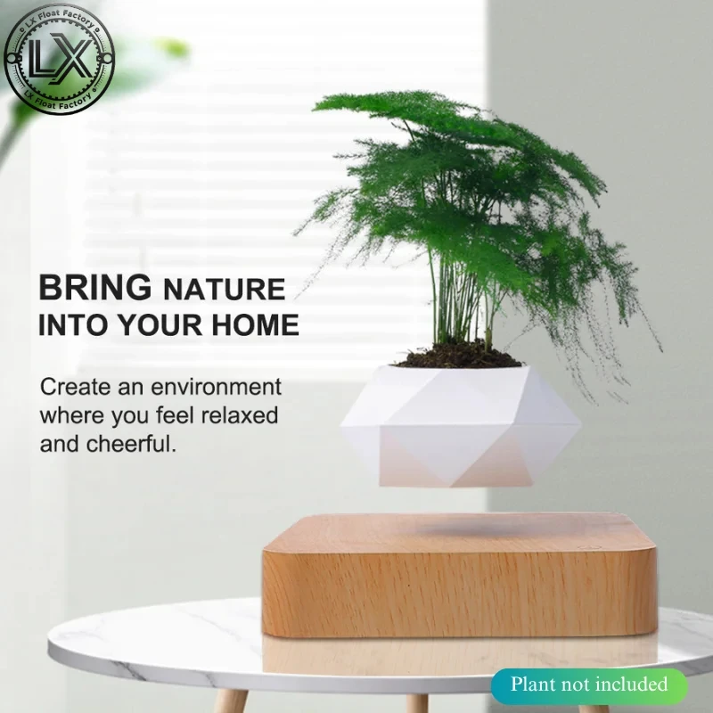 Levitating Plant Pots Floating Hanging Planter for Small Plants. Elevate Your Space Level