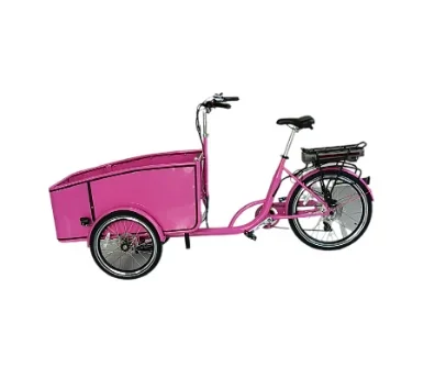 stroller trike kits 3 wheel cargo bike for carrying kids and pets